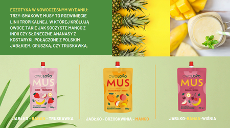 Mus jabłko-gruszka-ananas 200g OWOLOVO