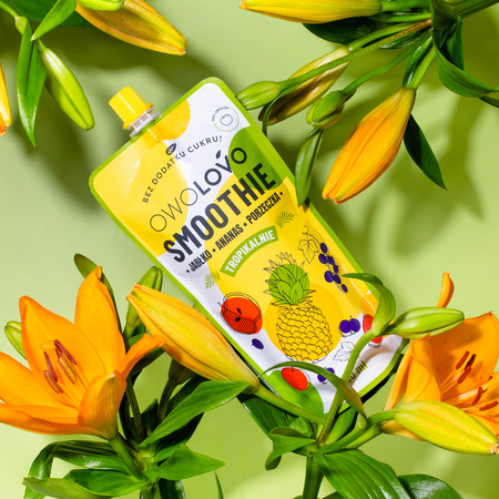 OWOLOVO Smoothie jabłko ananas porzeczka 250ml